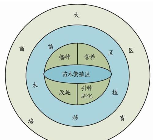 红枣的生长周期（从种子到果实）