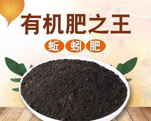 蜗牛粪便——另一种优质有机肥料（充分利用蜗牛粪便）