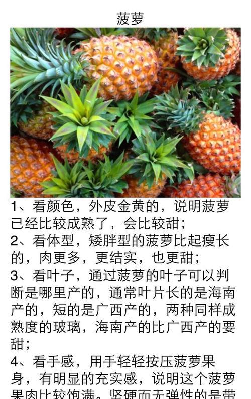 阳台种植百香果的时间和方法步骤（打造属于自己的果园）