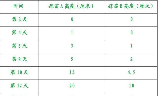 阳台蒜苗种植指南（时间、方法、技巧、收获全解密）