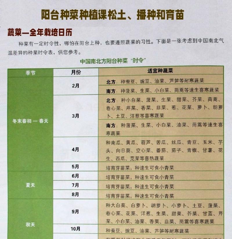 阳台种植苋菜的时间和方法（手把手教你打造丰收阳台）