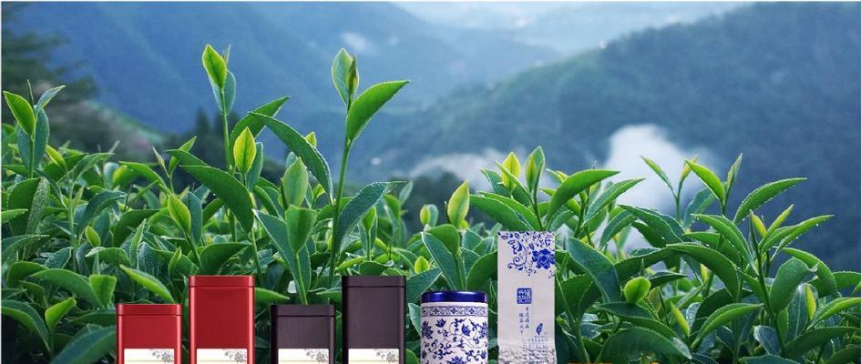 探究大禹岭茶的品种和特点（发现中华茶文化的瑰宝——大禹岭茶）