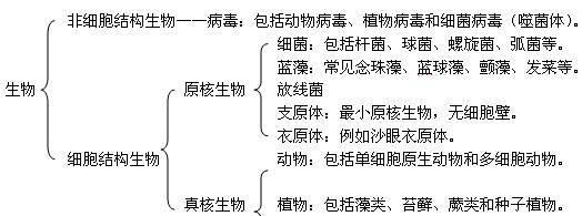 大榛子病虫害防治技术与方法措施（科学防治大丰收）