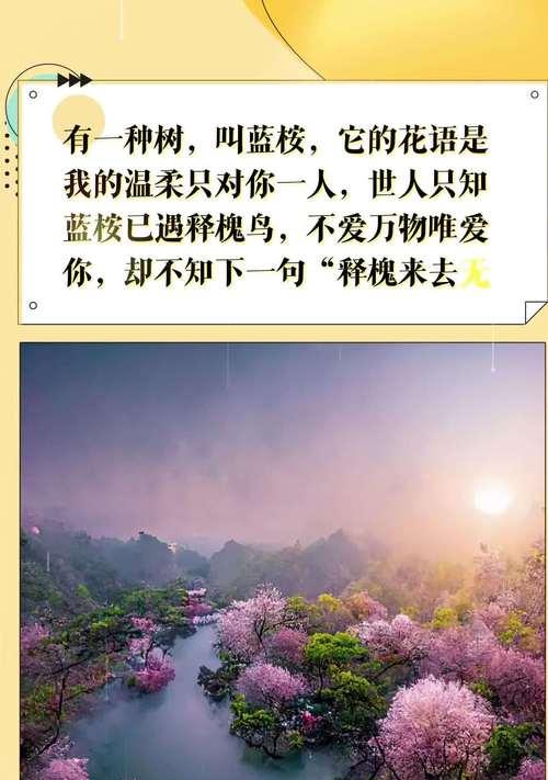 以蓝桉的花语与适合送人之意义（传递祝福与美好的蓝桉之语）