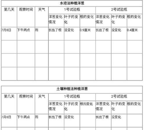 九里香种植的最佳时间和方法是什么？