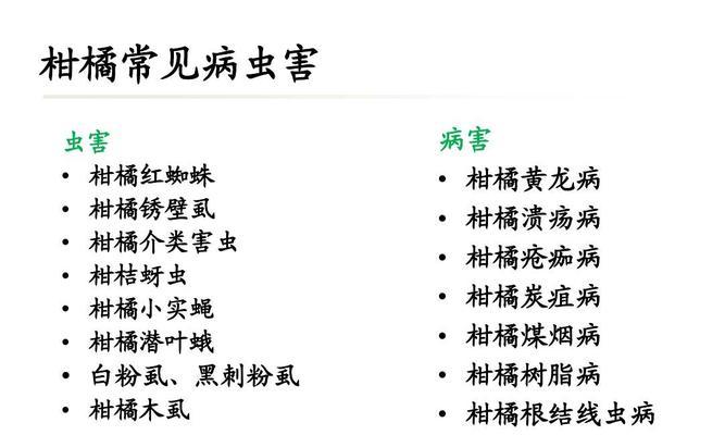 桔树病虫害如何防治？有效防治措施技术有哪些？