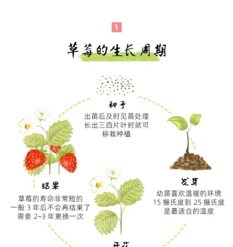 桔子树种植的最佳时间和方法是什么？