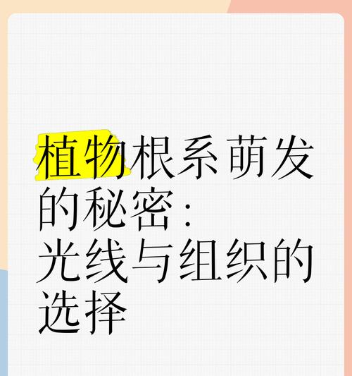 哪些植物有助于生根？如何使用这些植物促进根系生长？