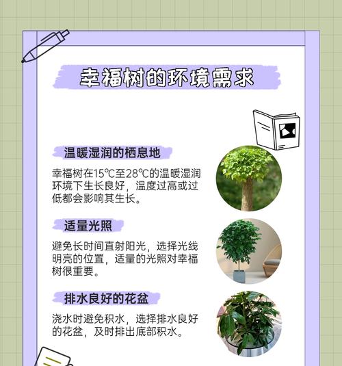 植物幼什么？如何进行植物幼苗的养护？