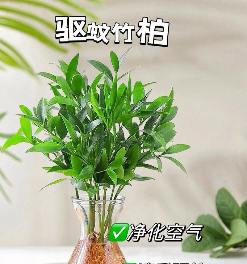 如何正确采集好友种植的植物？采集植物时应该遵循哪些原则？