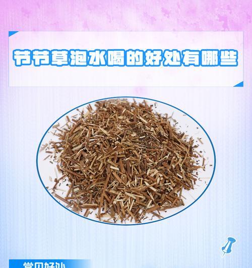 哪些植物具有药用价值？它们的主要功效是什么？