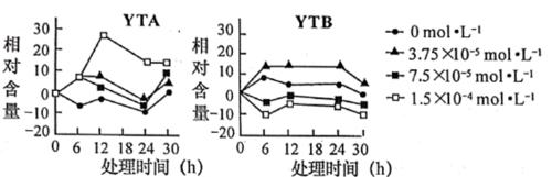 裂包现象在植物中是如何发生的？裂包对植物生长有何影响？