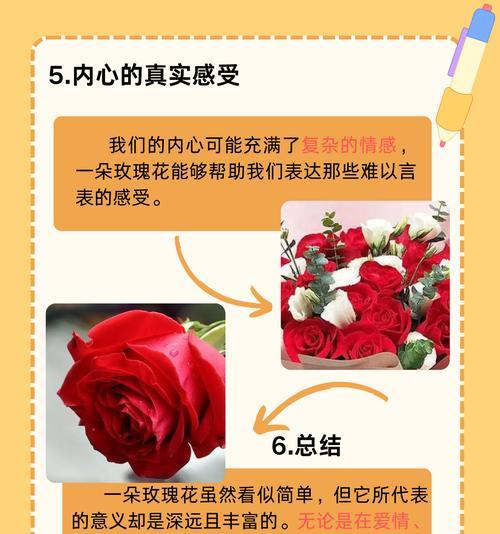 十九根玫瑰花的含义是什么？