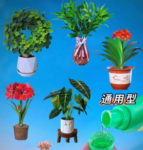 花卉植物增色液的作用是什么？