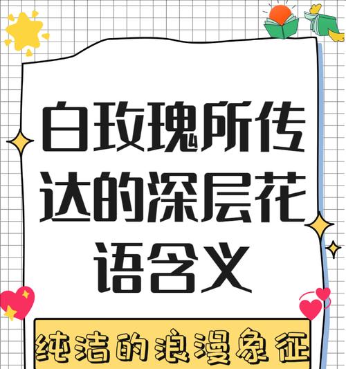 33朵白玫瑰花束的含义是什么？特殊数字的花语解读？