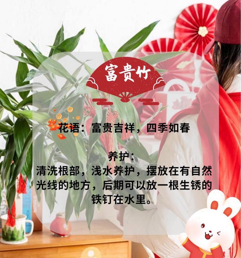 坚强的花语是什么意思？