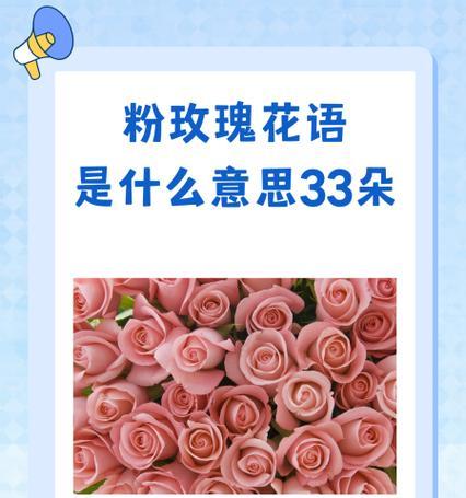 白色花瓶中33朵玫瑰花的含义是什么？33朵玫瑰花代表什么？