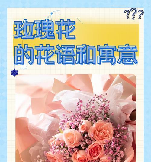 送男朋友玫瑰花数量有何含义？表达什么情感？