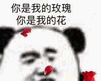 给男性发送玫瑰花表情有何含义？它在沟通中扮演什么角色？