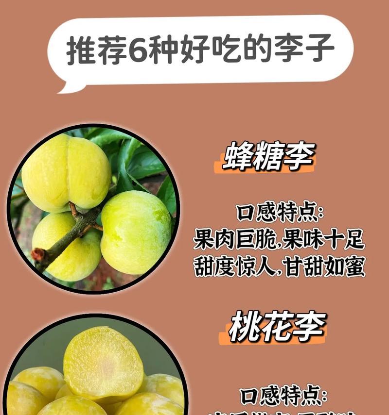 空心李子花语有何寓意？空心李子的花语代表什么？